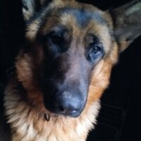 Серга Сергеевич