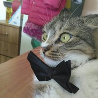 Дарья Медведева