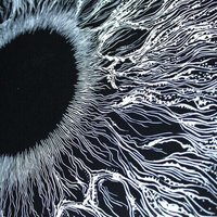 Всевидящее Око