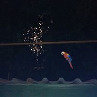 Mихаил Базилевский