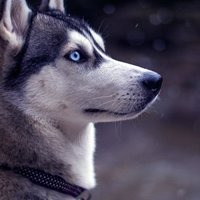 Татьяна Гордеева