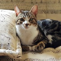 Александр Мудров