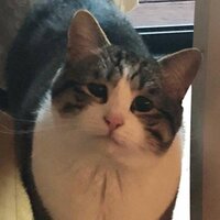 Тимур Андреев