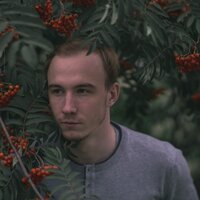 Виталий Скворок