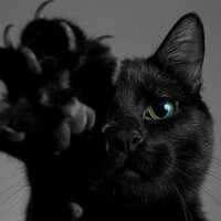 Алексей Качанов