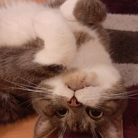 Мария Абраменкова