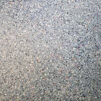 Николай Василенко