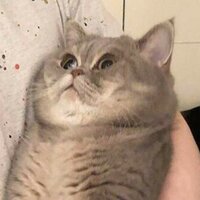 Рина Гилазова