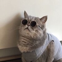 Не Скажу