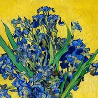 Адель Хайдарова