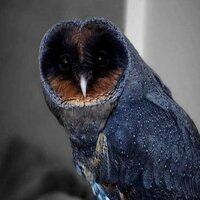 Яна  Шишкина