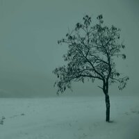 Станислав С.