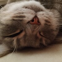 Вероника Т.