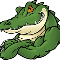 Crocodile