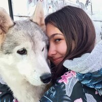 Дина Сандул