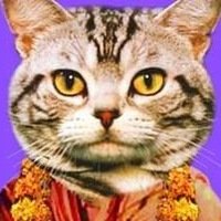 Константин Капичников