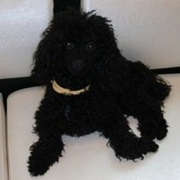 Ярослав Пензин