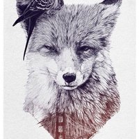 Антон Козлов