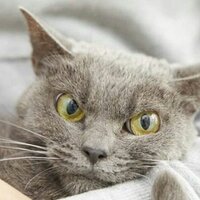 Эльвина Камалова