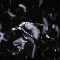 Анастасия П.