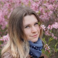 Анастасия Ф.