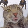 nneu1c1beqv407xyw9yvbbbm44