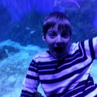 Павел Петрулевич