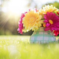 Екатерина К.