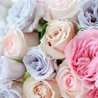 Весна Всегда