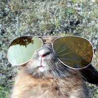 Александр Ю.