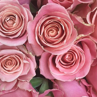 Натали Чистякова