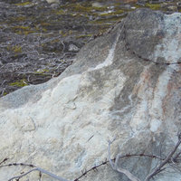 Игорь Мальцев