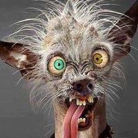 игорь мутиль