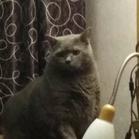 Вася Пупкин