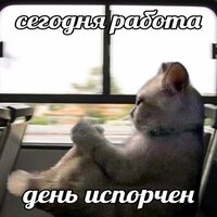 Софья Боровская