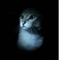 Екатерина Фадеева