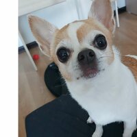 Ксения💜🐻