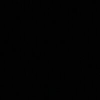 Максим Королев