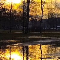 Мария Петрова-Шевелёва