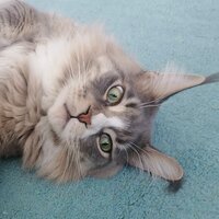 Ярослав Пичкур