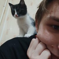 Лев Мусаткин