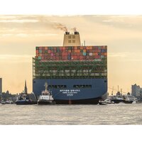 Александр Михайлов