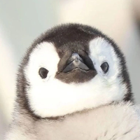 Свистунова Людмила