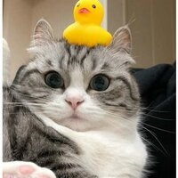 Ксюша Девятова