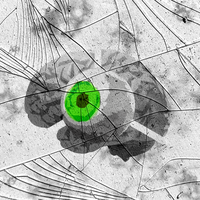 Фидан Султанов