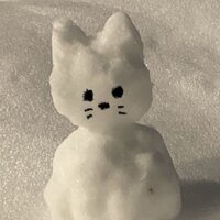 Лотус-денчик