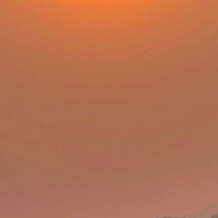 Елизавета Жигалова