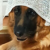 Константин С.