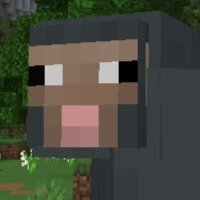 марк пукавич