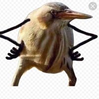 Роман Джаметов